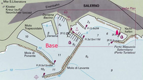 The plant of the base
